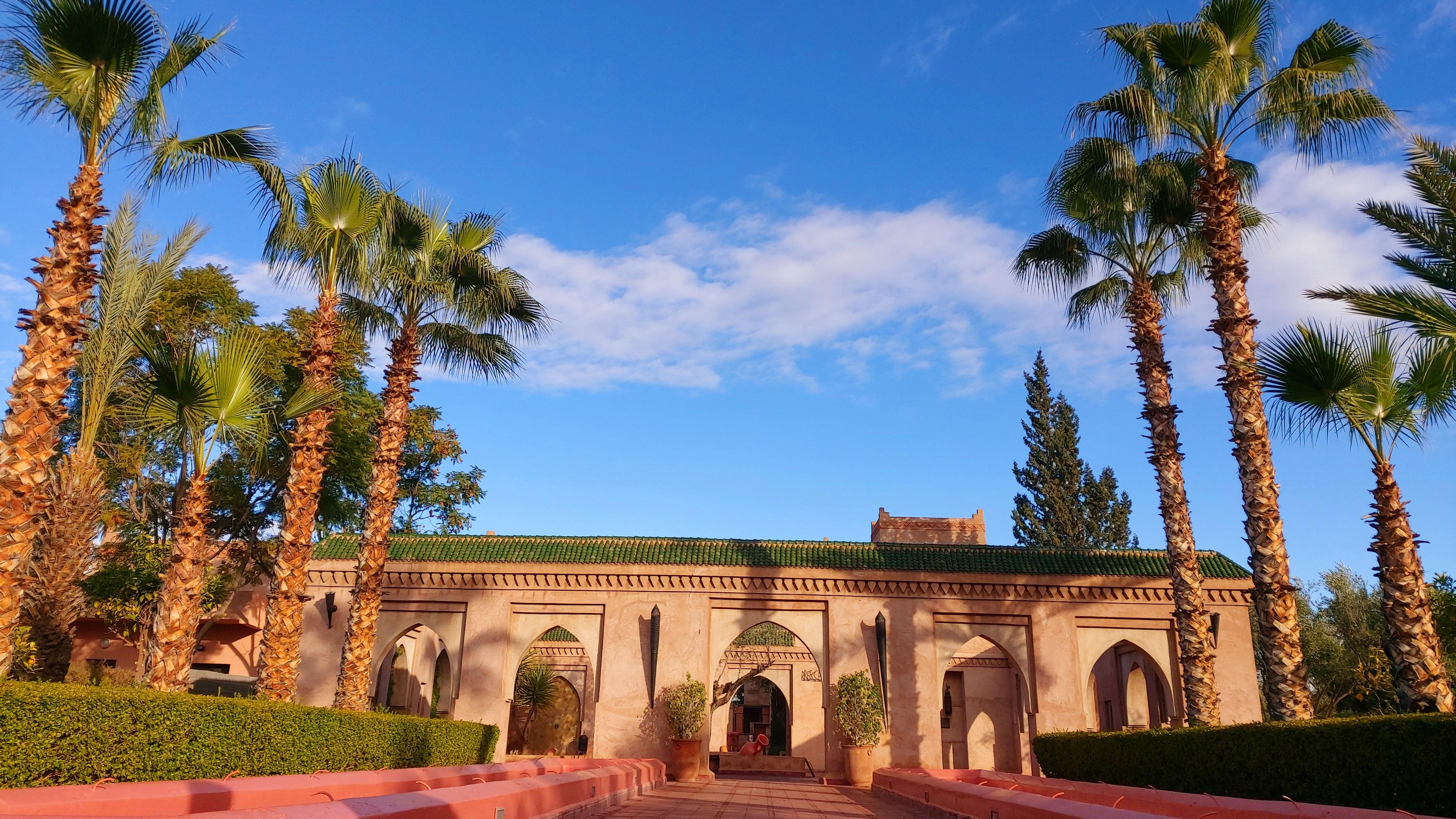 La Maison Des Oliviers Marrakesh Eksteriør billede