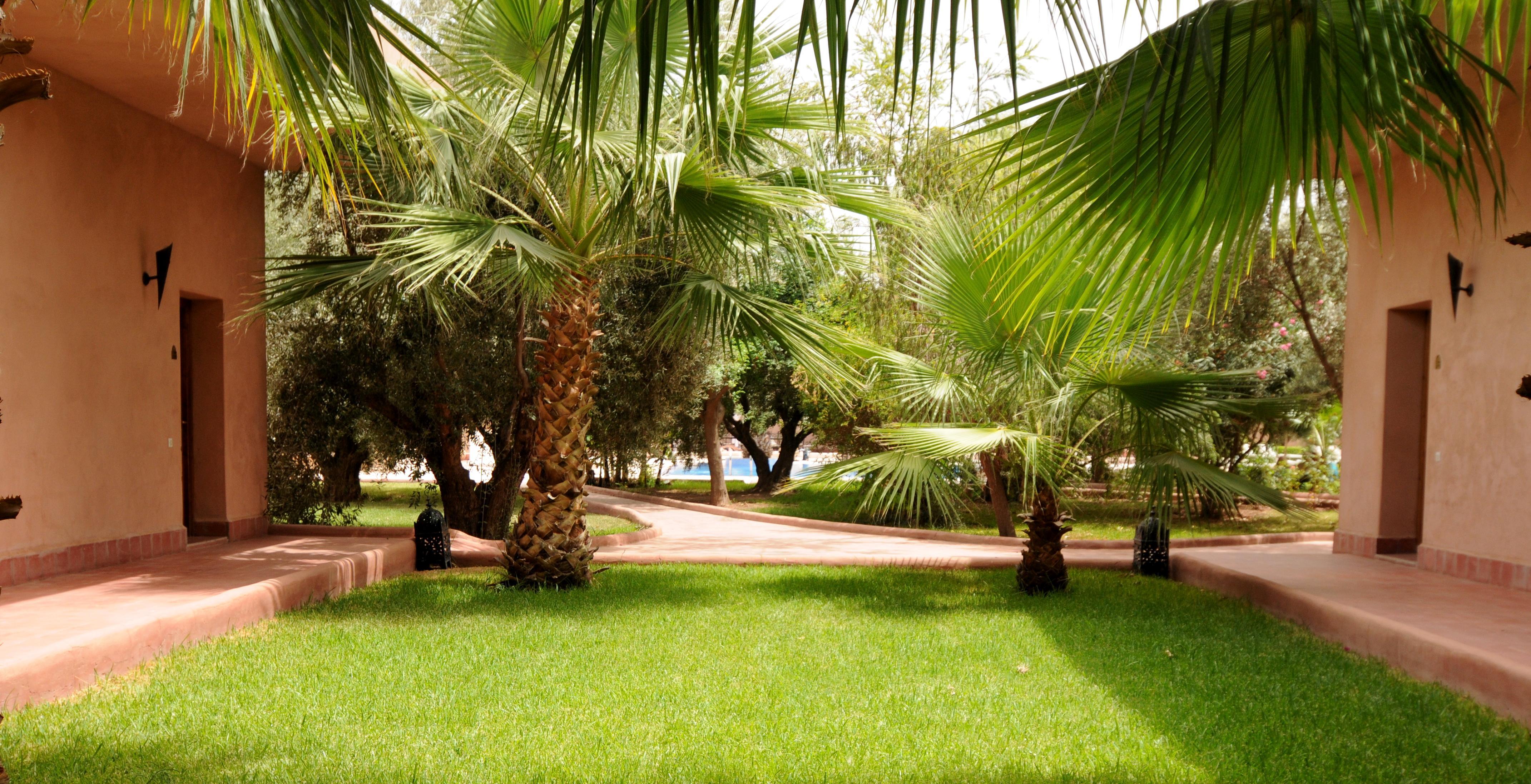 La Maison Des Oliviers Marrakesh Eksteriør billede